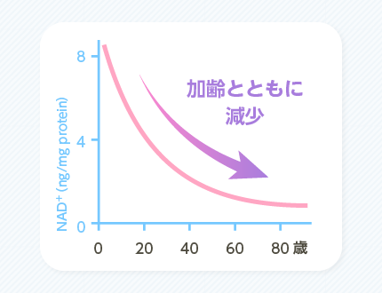 NMNの減少