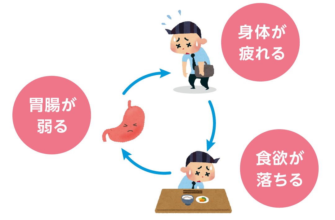 胃腸の弱りから身体の疲れや食欲低下につながるイメージ